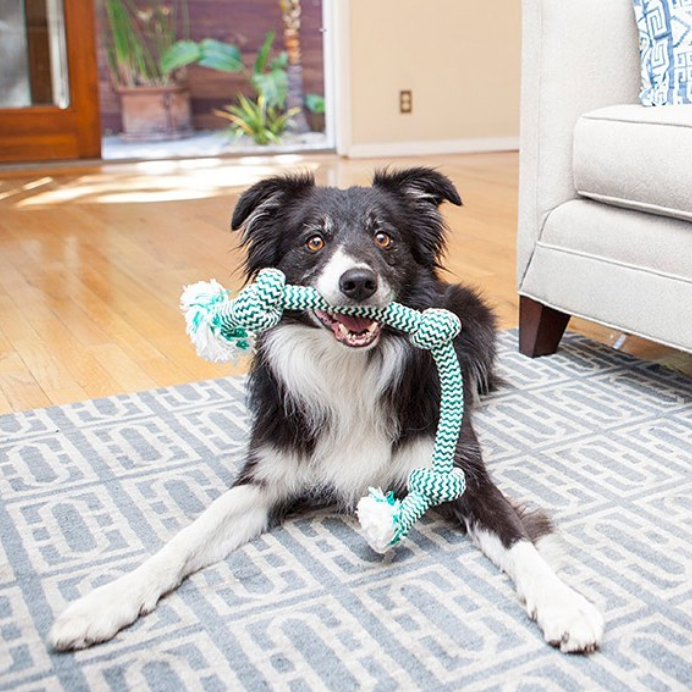 Extra Fresh 3 Knot Tug Toy